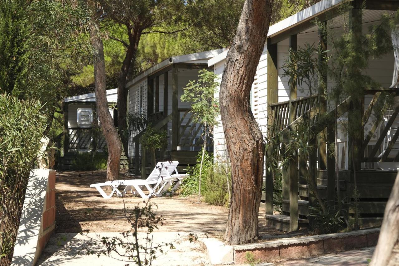 Villaggio Camping Torre Del Porticciolo Porto Conte Bagian luar foto